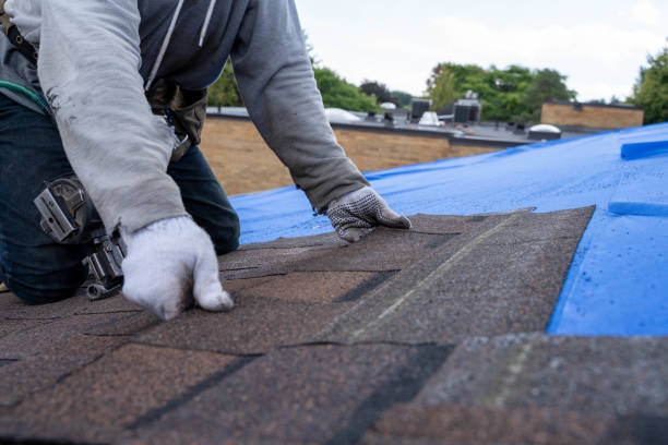 Best New Roof Installation  in Olive Hill, KY
