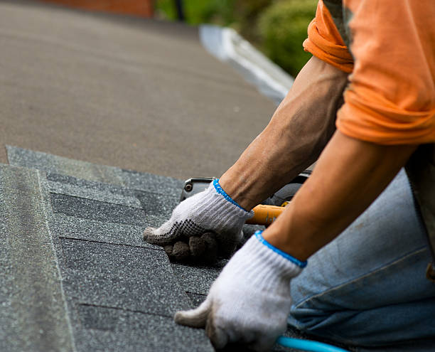 Best Storm Damage Roof Repair  in Olive Hill, KY