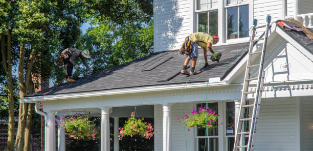 Best Roof Leak Repair  in Olive Hill, KY