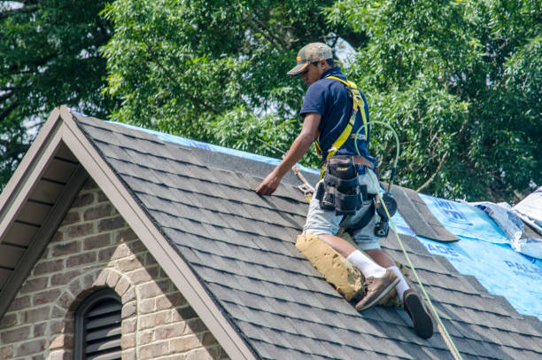 Best Metal Roofing Contractor  in Olive Hill, KY